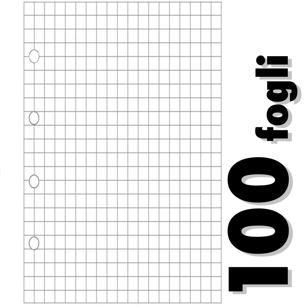 100 PERFORIERTE BLÄTTER FÜR RINGBUCH NOTIZBUCH A4 QUADRATE 5MM SCHULE