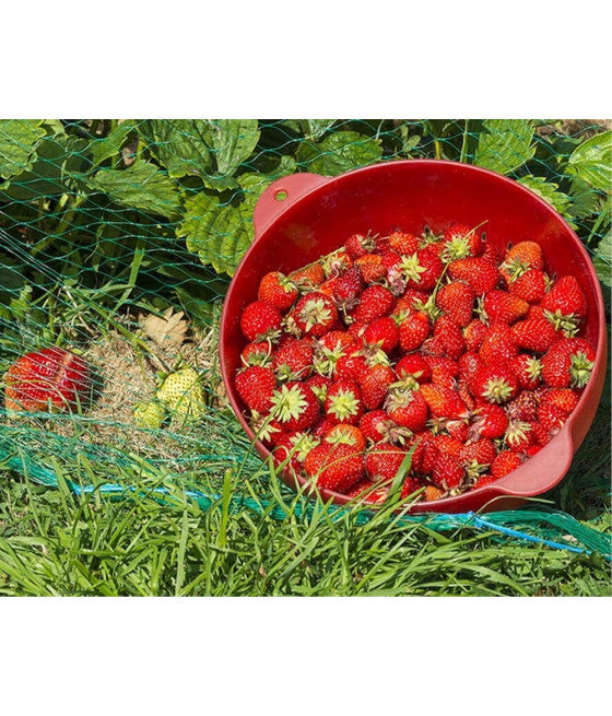 2 Stück Anti-Tier-Polyethylennetz, 2 x 10 m, grün, für Gemüsegarten, Pflanzenschutz